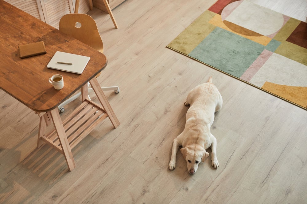 O cachorro nadador fica a maior parte do tempo com a barriga no chão e as patas em hiperextensão