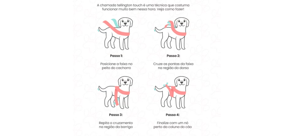 O telling touch é uma técnica simples, mas eficiente para ajudar um cachorro com medo de fogos