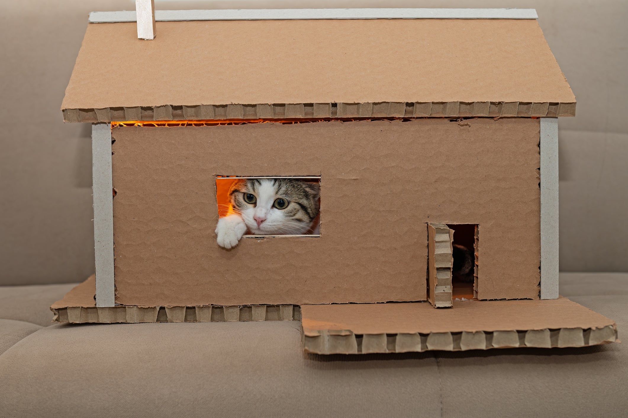 Na quarta etapa de como fazer casinha para gato de papelão, utilize o estilete para cortar portas e janelas