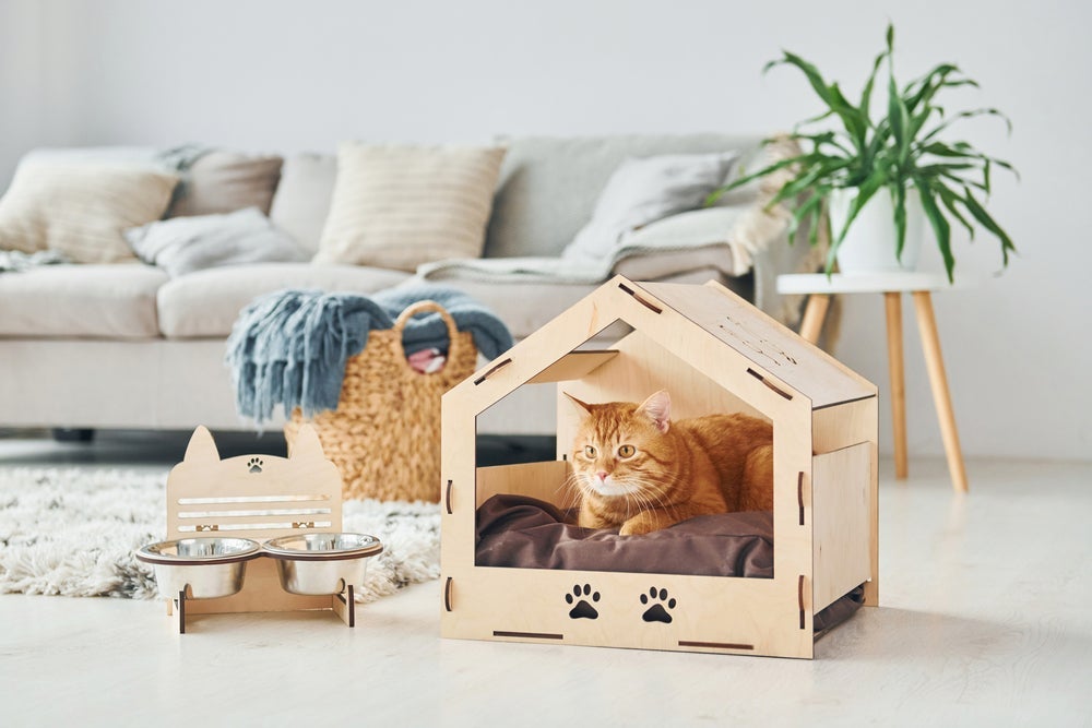 Colocar um cobertor na casinha de gato com caixa de papelão é uma ótima ideia para os dias frios