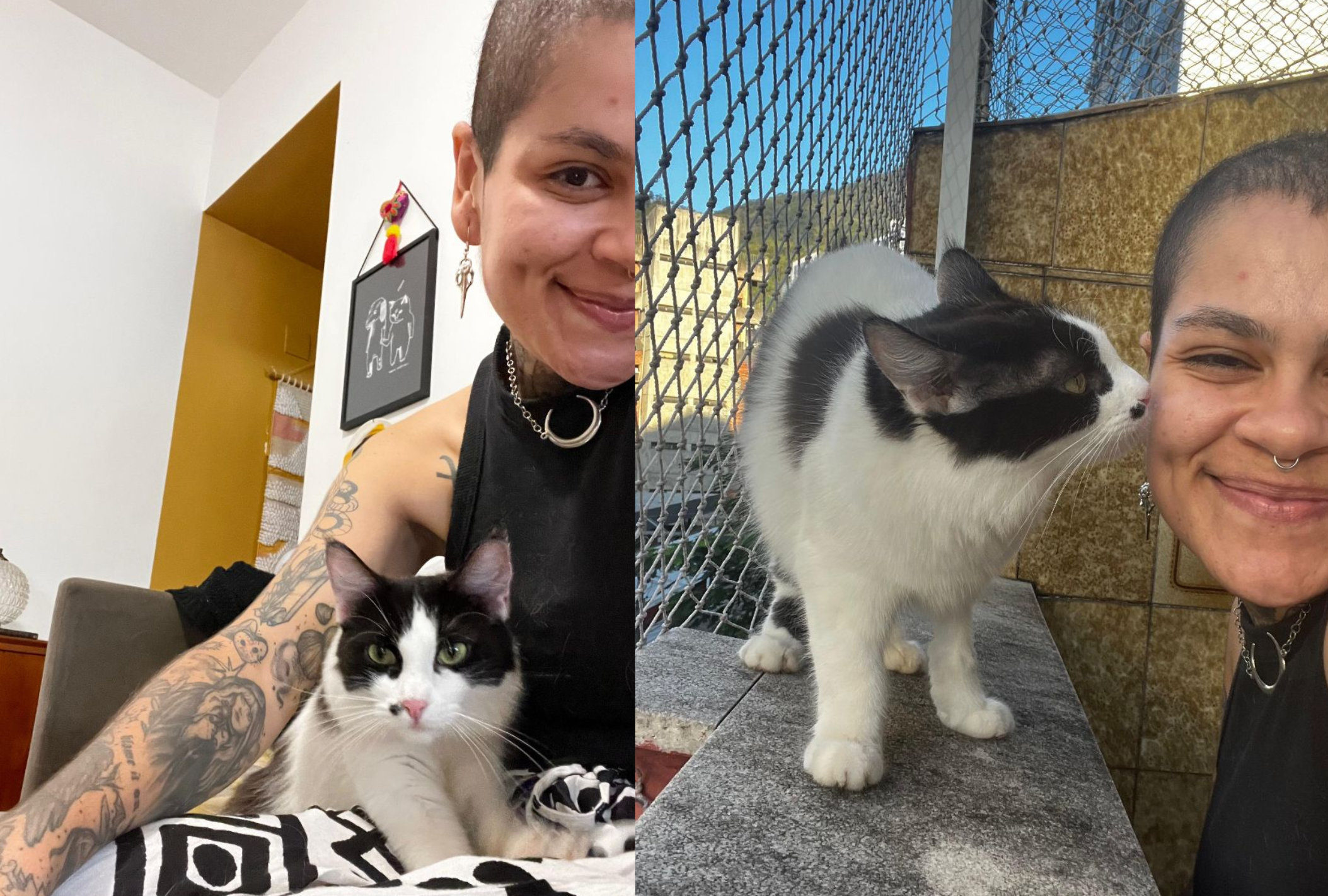 A cat sitter da Ana Heloisa é muito qualificada no trabalho 