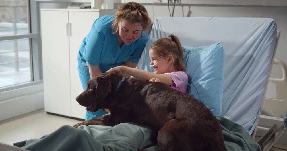O cachorro terapeuta pode ajudar vários pacientes