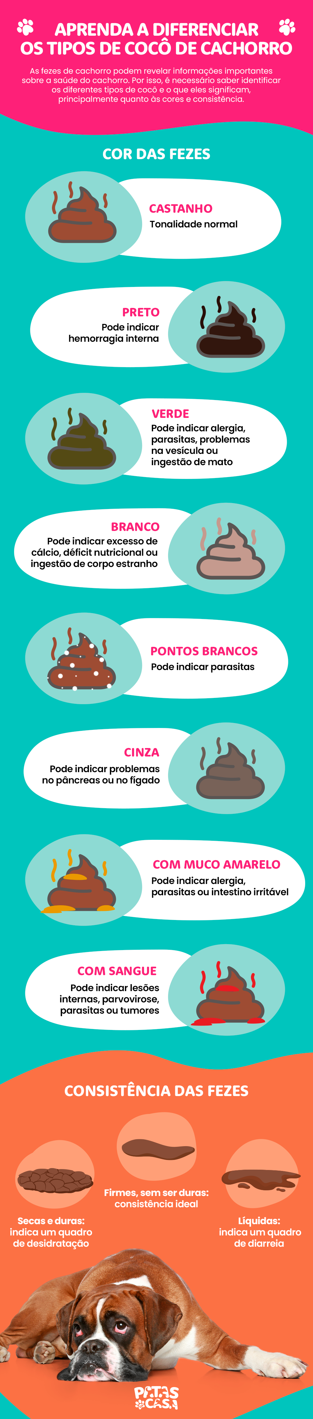 O aspecto do cocô de cachorro deve ser observado com atenção