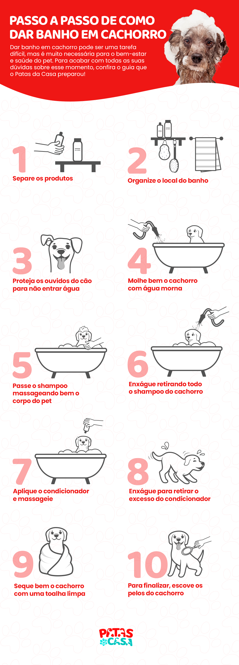 Como dar banho em cachorro: veja infográfico!