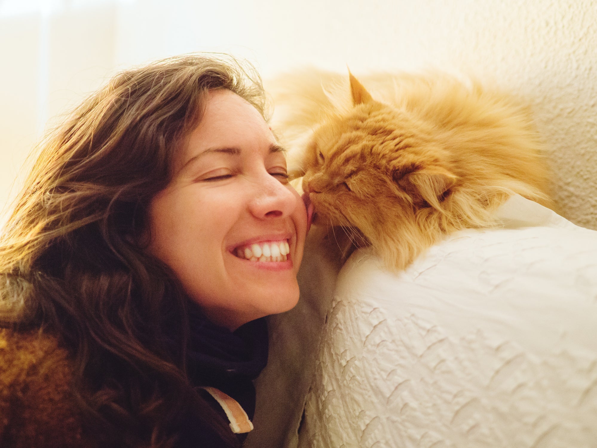 Cães e gatos auxiliam no tratamento de depressão