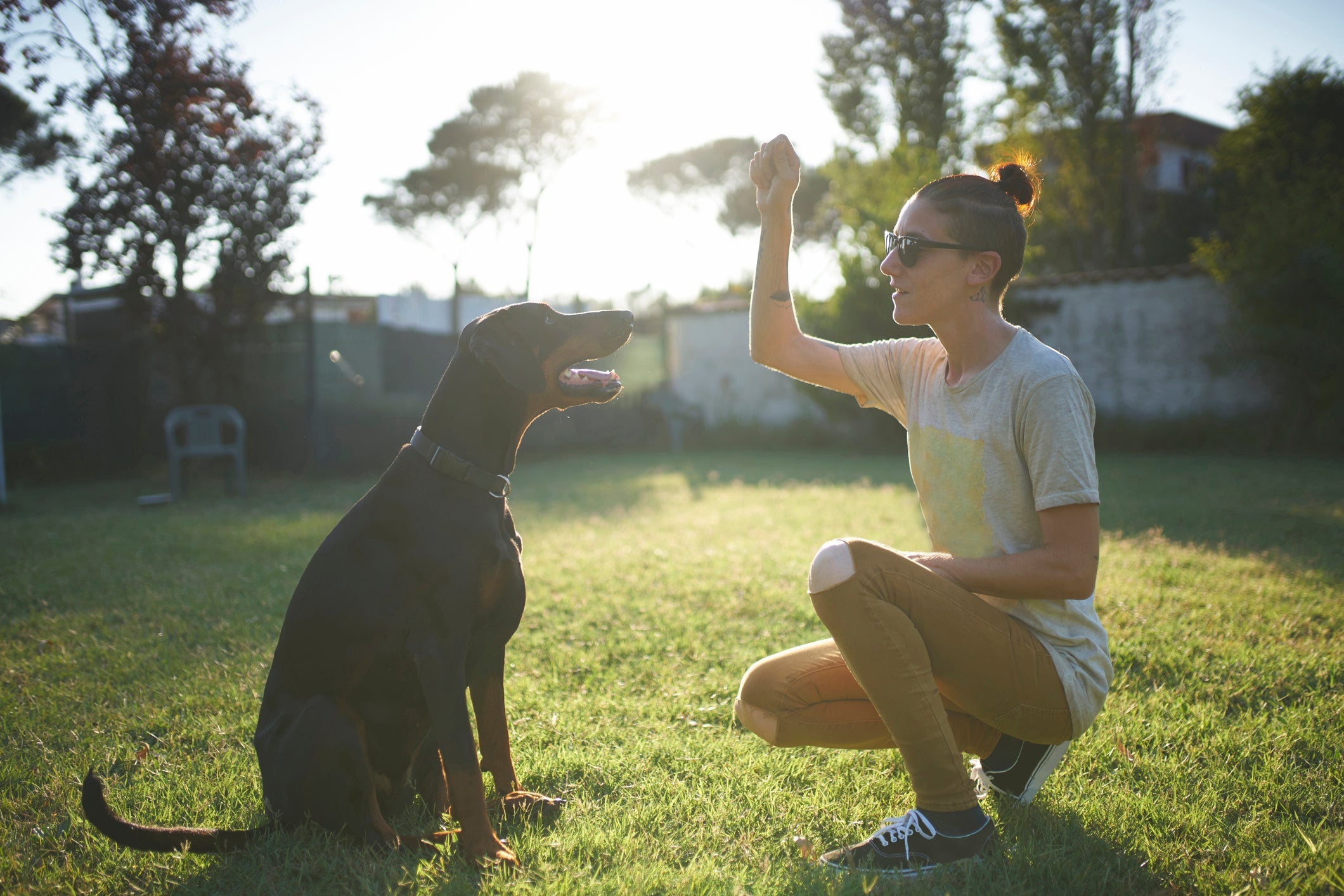 Como adestrar cachorro: observe a linguagem corporal do seu cão para entender como ele está se sentindo