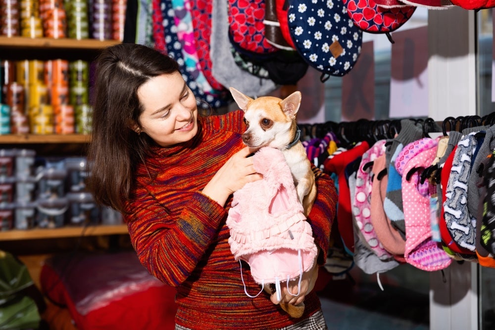 Na hora de comprar roupa para cachorro, escolha um tecido confortável e seguro para seu pet