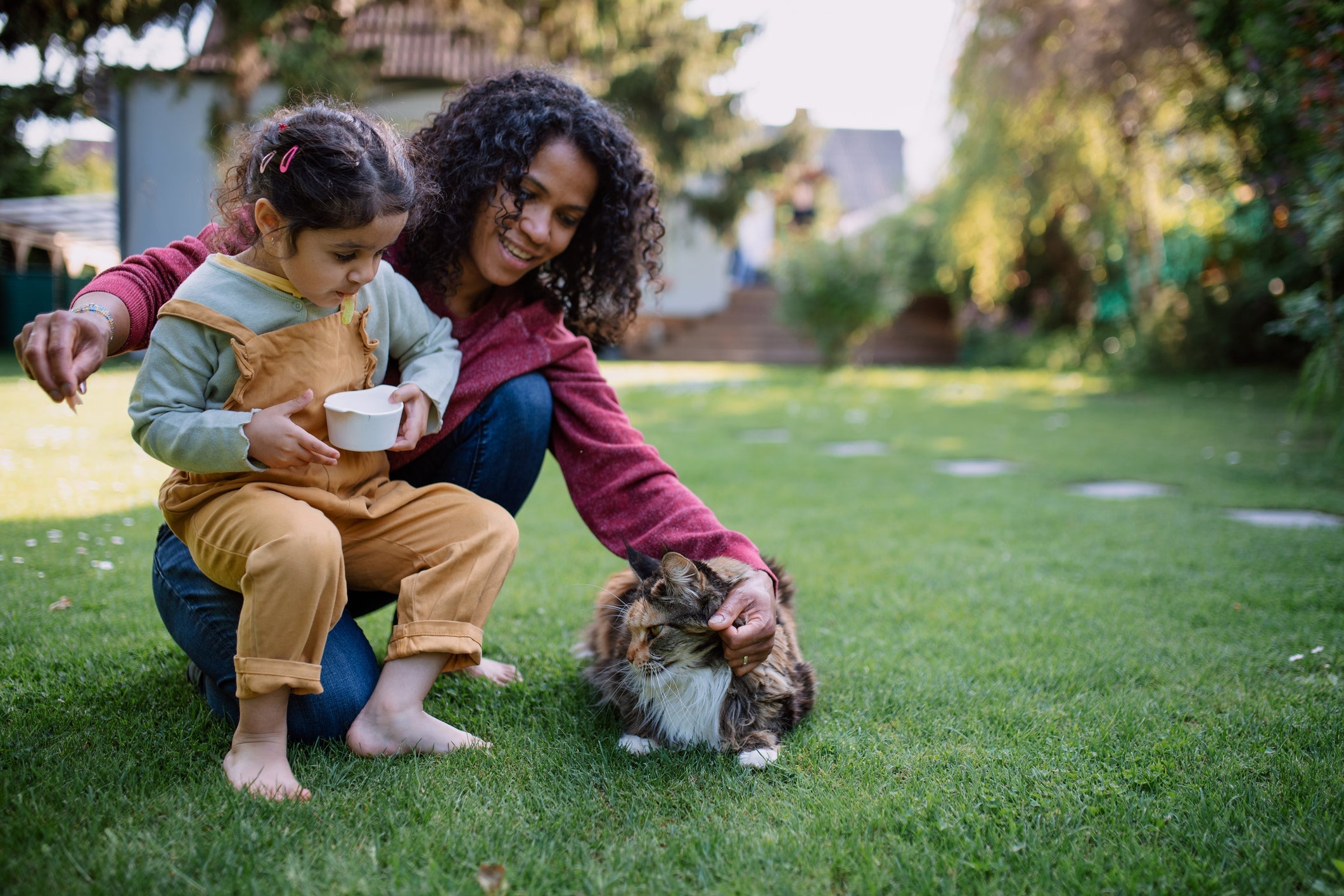 Não é possí­vel definir por quanto tempo um gato lembra do dono, mas os gatos sabem reconhecer a sua família