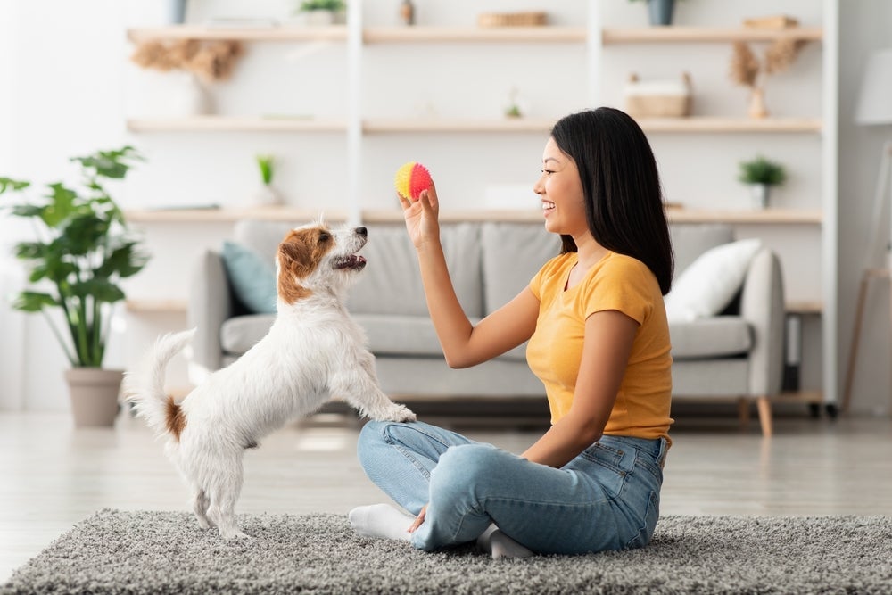 O segredo de como fazer o cachorro te escolher como dono é aliar carinho, firmeza e cuidados