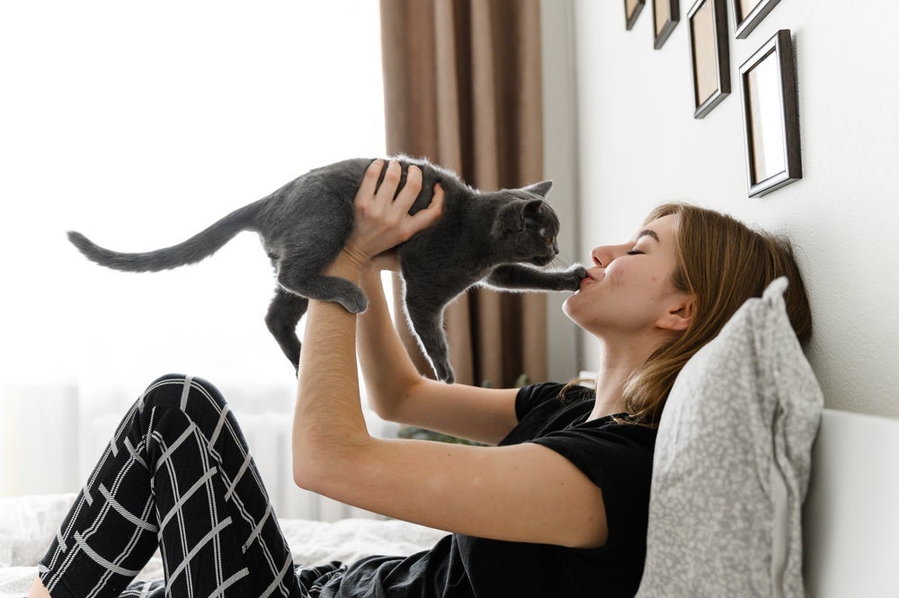 O método de como segurar gato pelo cangote não é o mais adequado