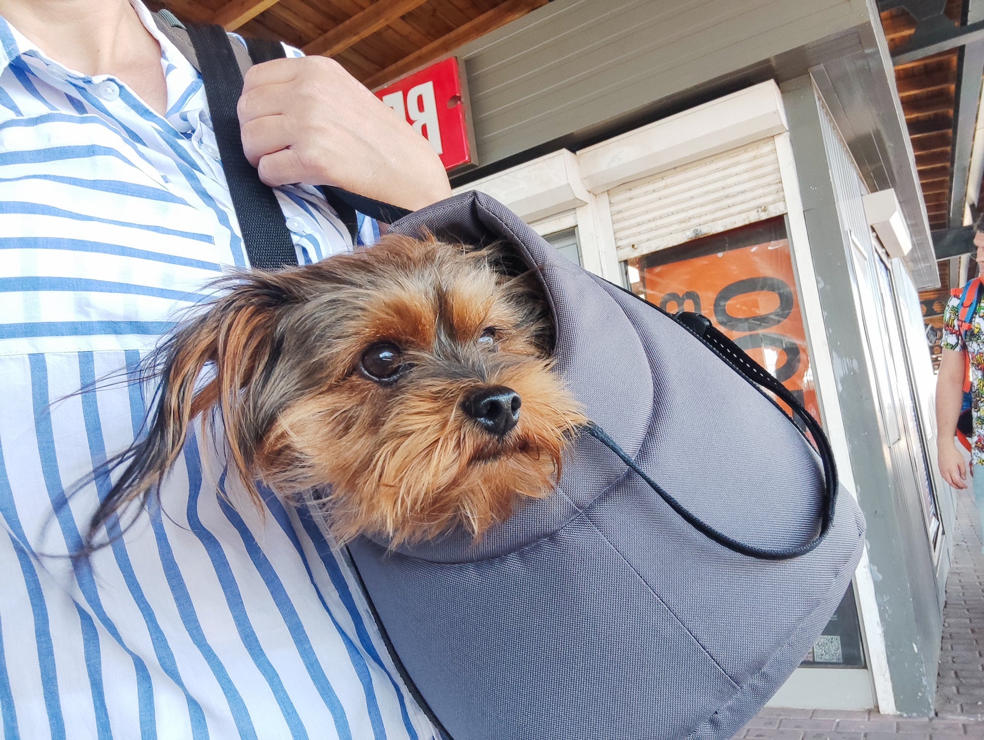 A bolsa para cachorro pode ser muito útil no dia a dia
