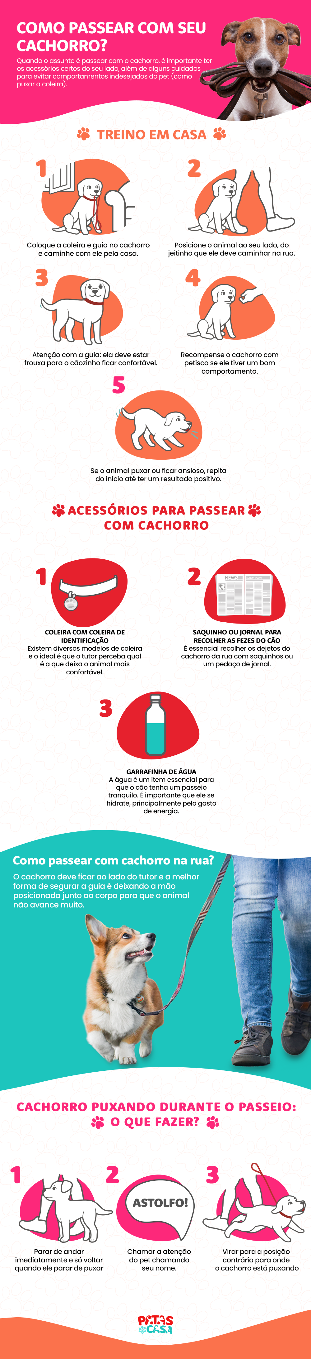 O passeio com cães é fundamental para a saúde fí­sica e mental dos pets