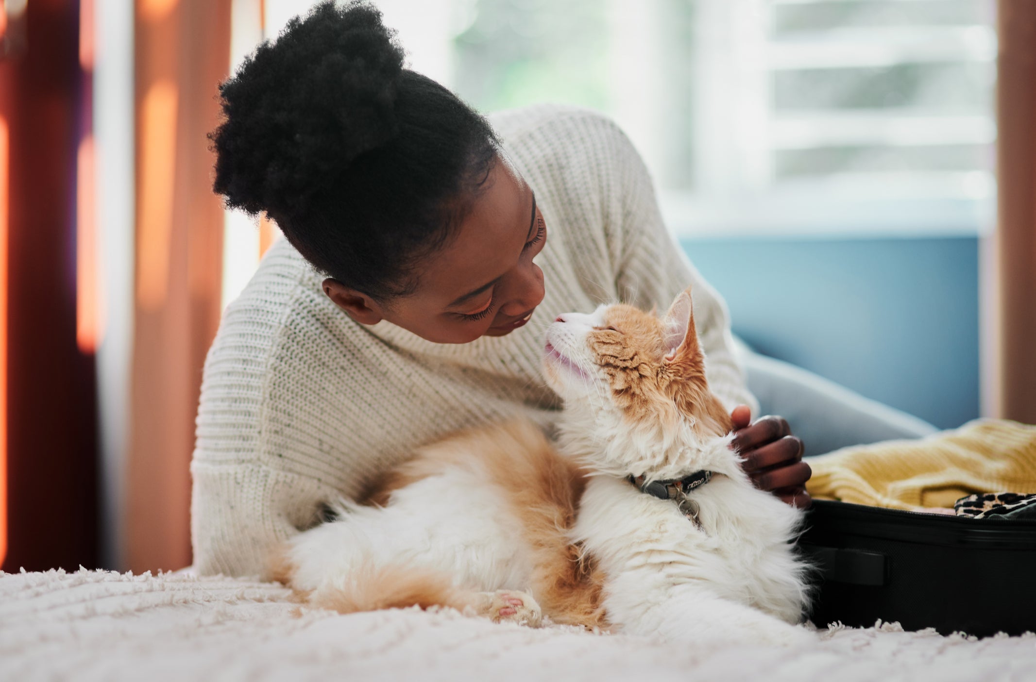 Alguns comportamentos dos gatos, como dar cabeçada nos humanos, podem ser demonstração de alegria