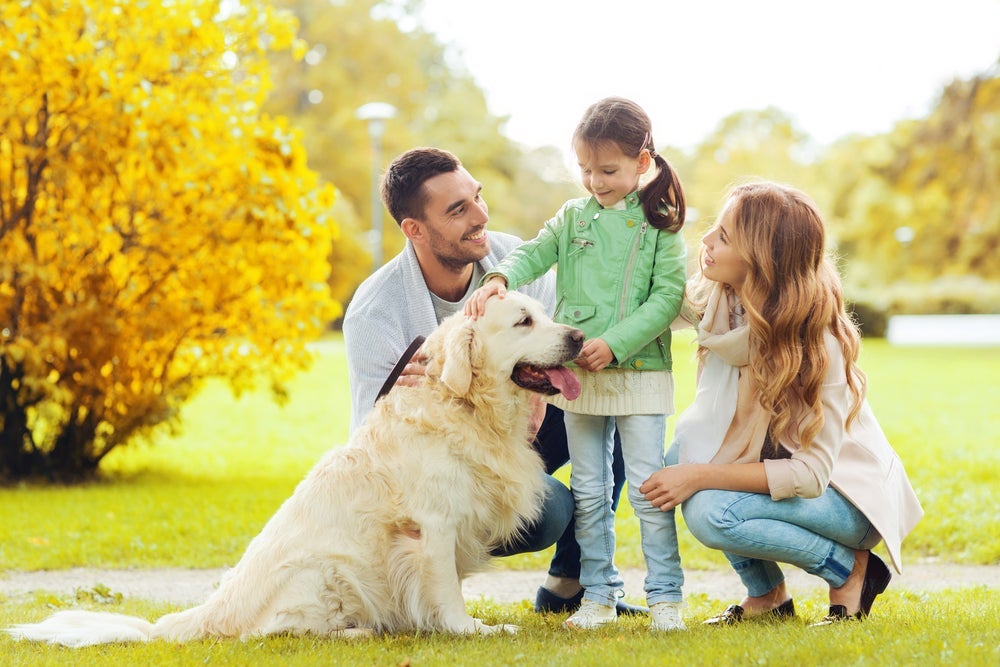 Nunca deixe criança e cachorro sozinhos brincando, nem por 1 minuto, mesmo que o pet seja manso!