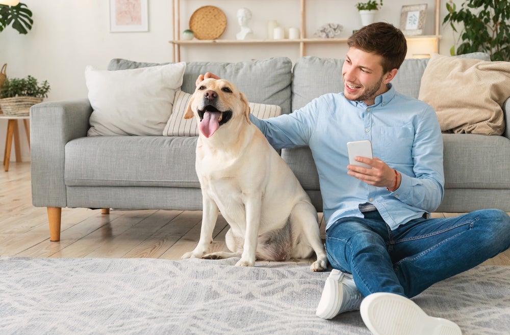 Por que não adotar um cachorro grande?