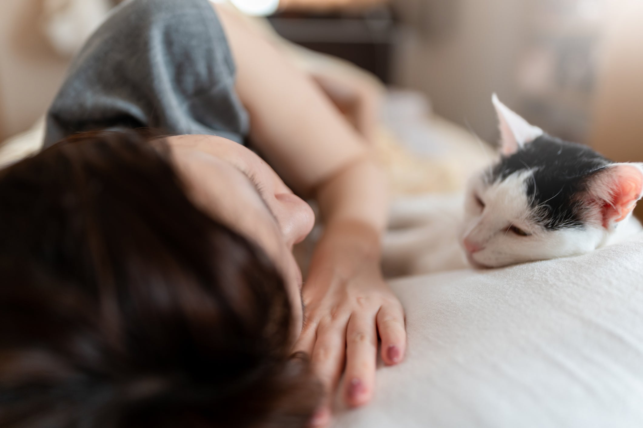 Ter o gato na cama é um bom sinal de que sim, ele te ama!
