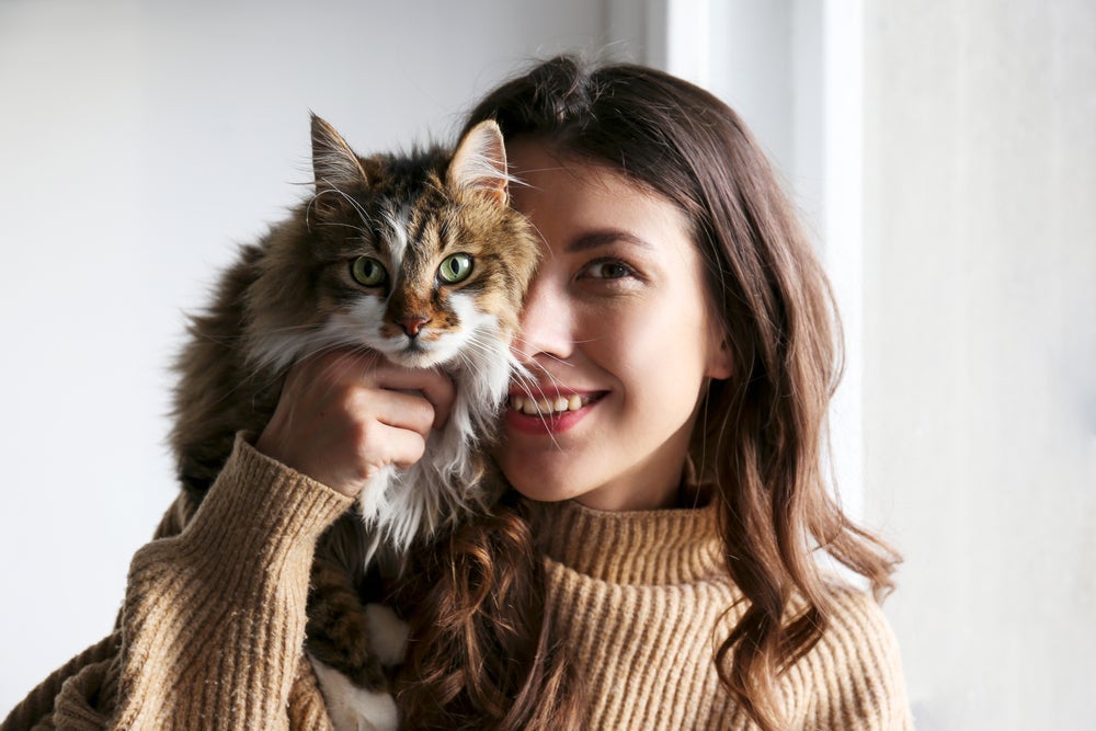Carinho de gato pode ser demonstrado de diferentes formas