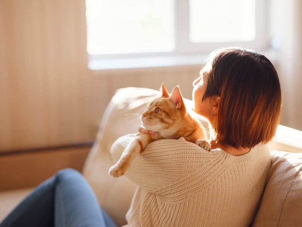 O gato abraçando deve se sentir confortável para isso
