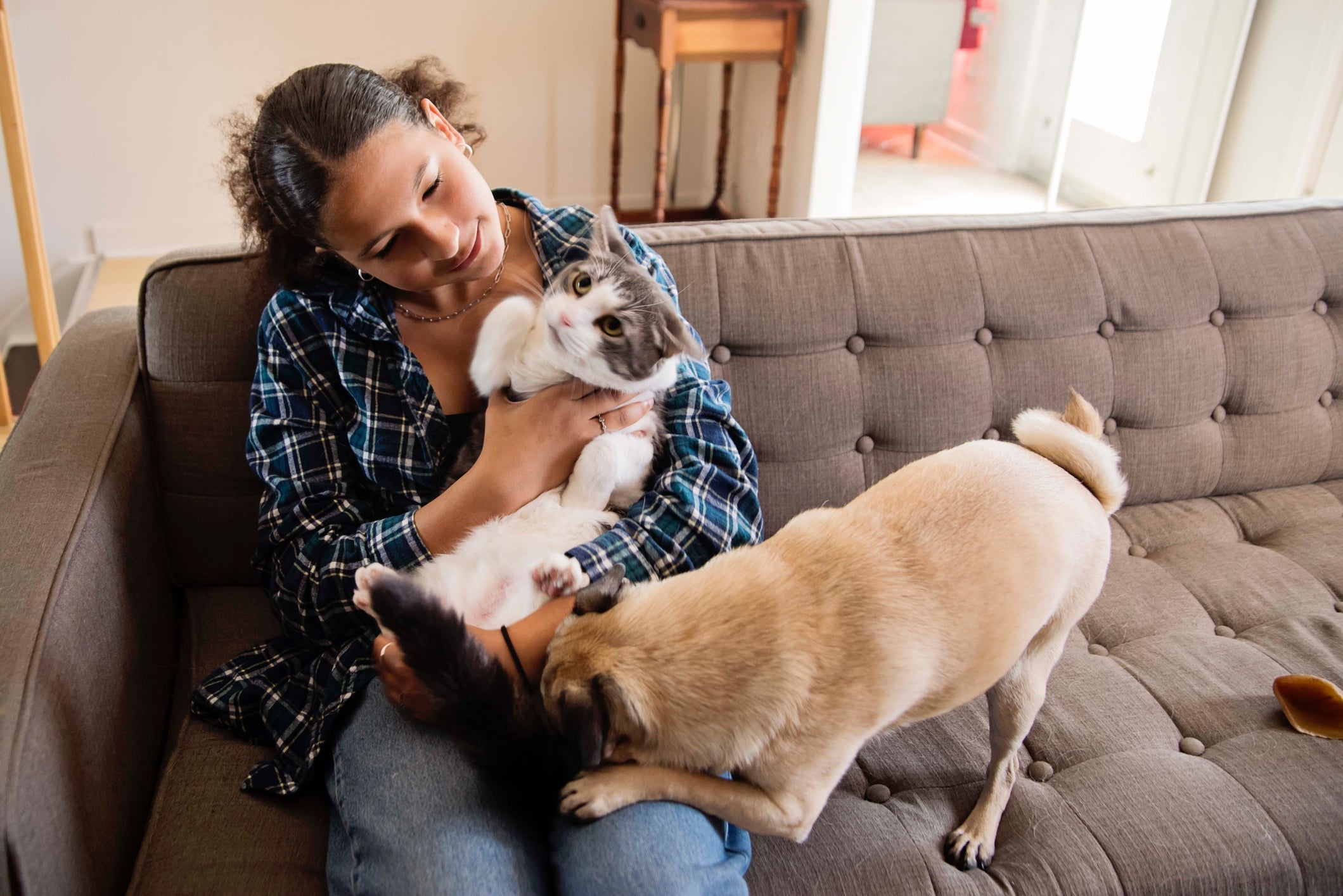 Saber os primeiros socorros para cães e gatos pode salvar a vida do pet durante um incêndio