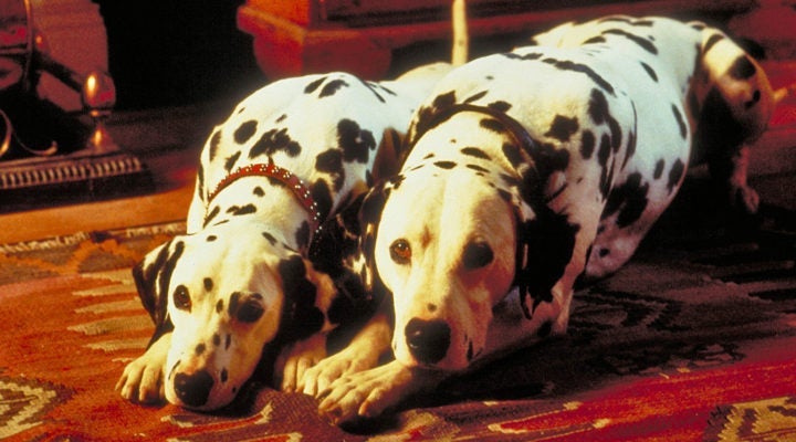 Esse é um filme de cachorro que provavelmente todo adulto já viu