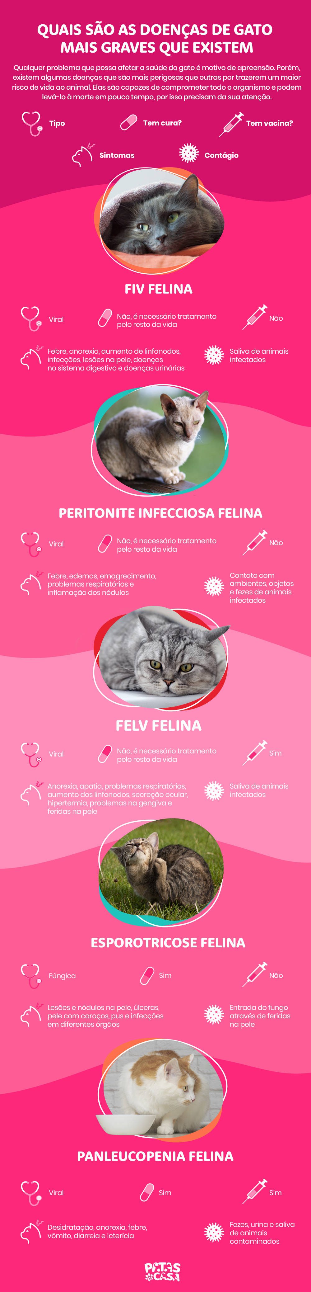 Dentre as doenças de gato mais graves estão FIV, FeLV e PIF