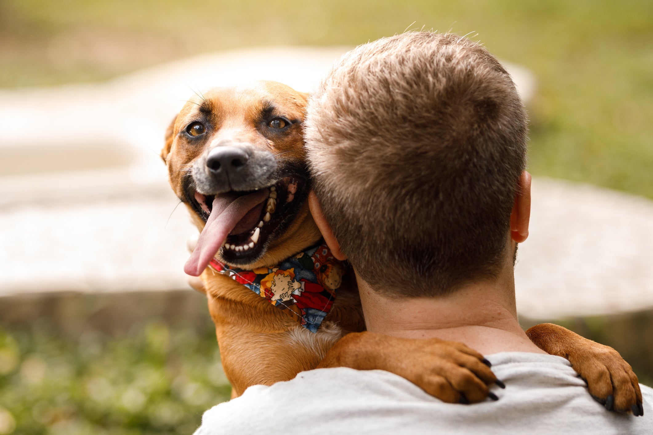 Adotar um cachorro aproxima o tutor de outros pais de pets no ambiente de trabalho