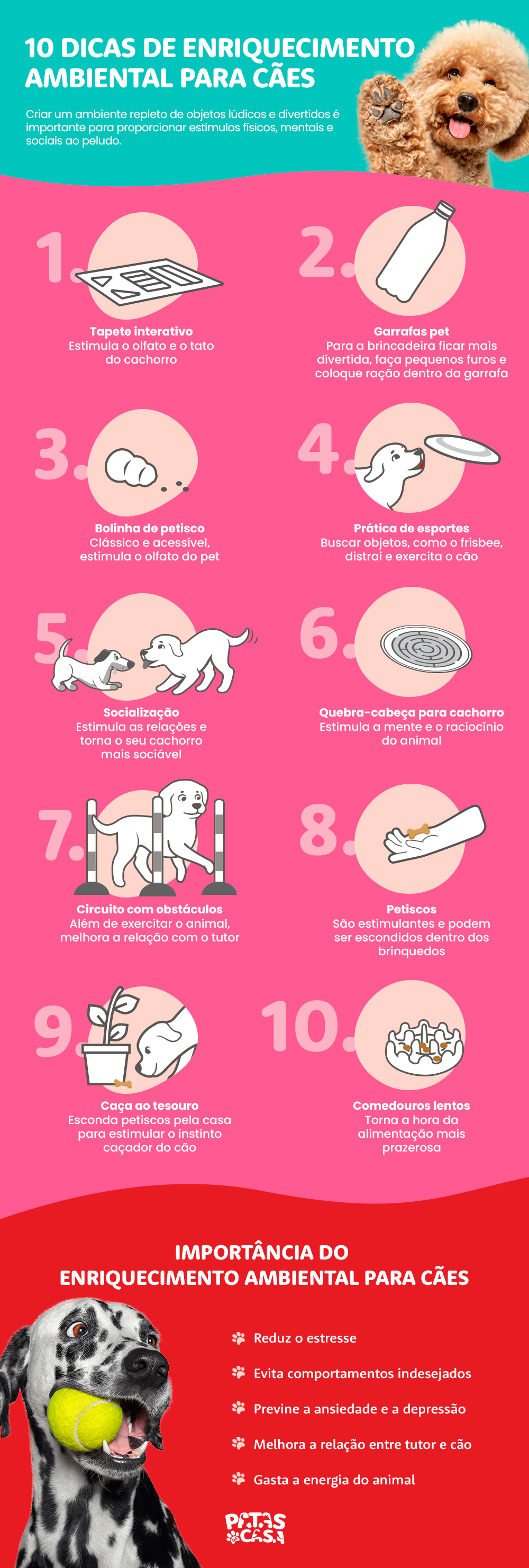 O enriquecimento ambiental para cães oferece uma série de benefícios 