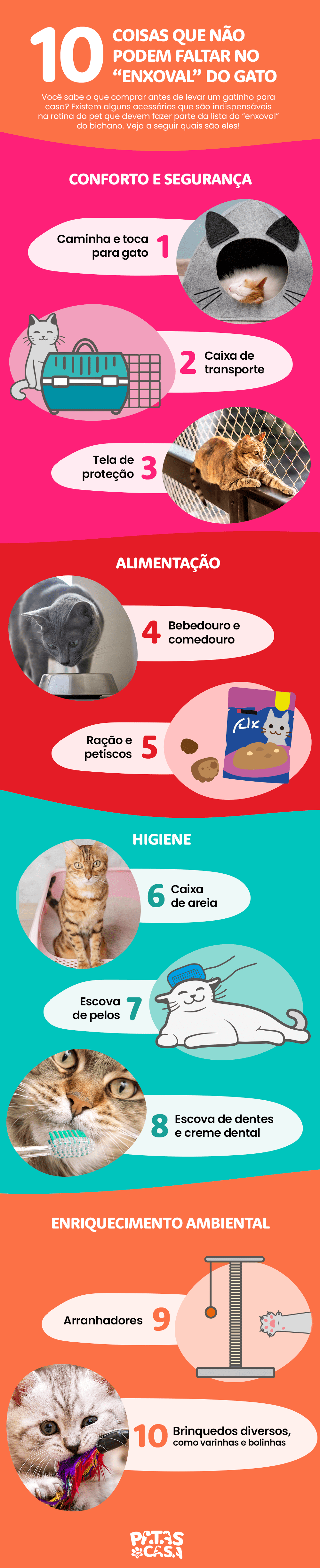Não sabe o que comprar para gato filhote? Veja uma lista com alguns itens que não podem faltar