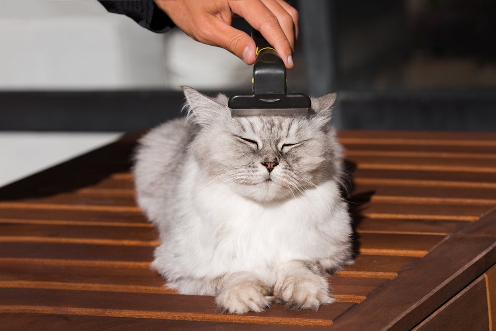 A escova para gatos furminator é ideal para animais com subpelos e/ou pelagem comprida