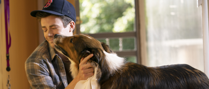 O “Resgate de Ruby” é um filme de cachorro cheio de lições emocionantes  (Créditos: Divulgação)