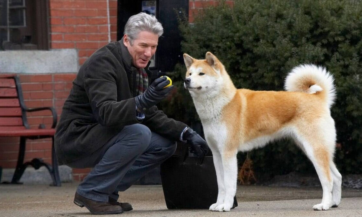 “Sempre ao Seu Lado” é um filme de cachorro emocionante  (Créditos: Divulgação)