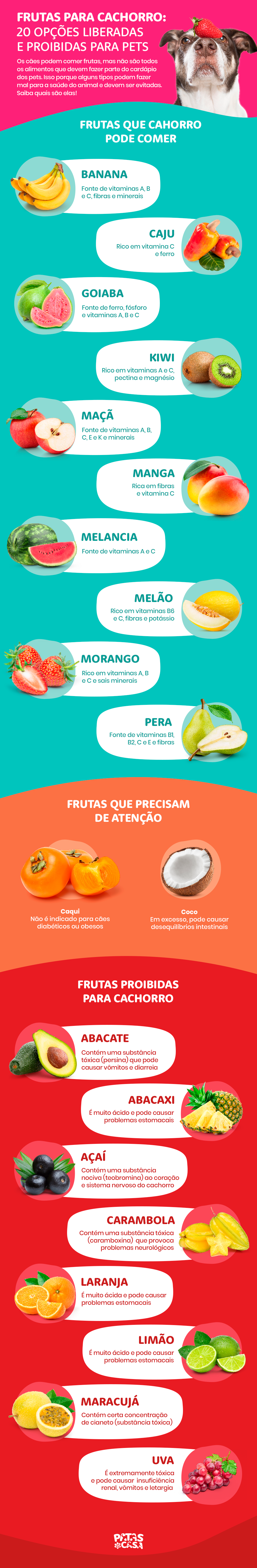 As frutas que cachorro pode comer precisam de atenção