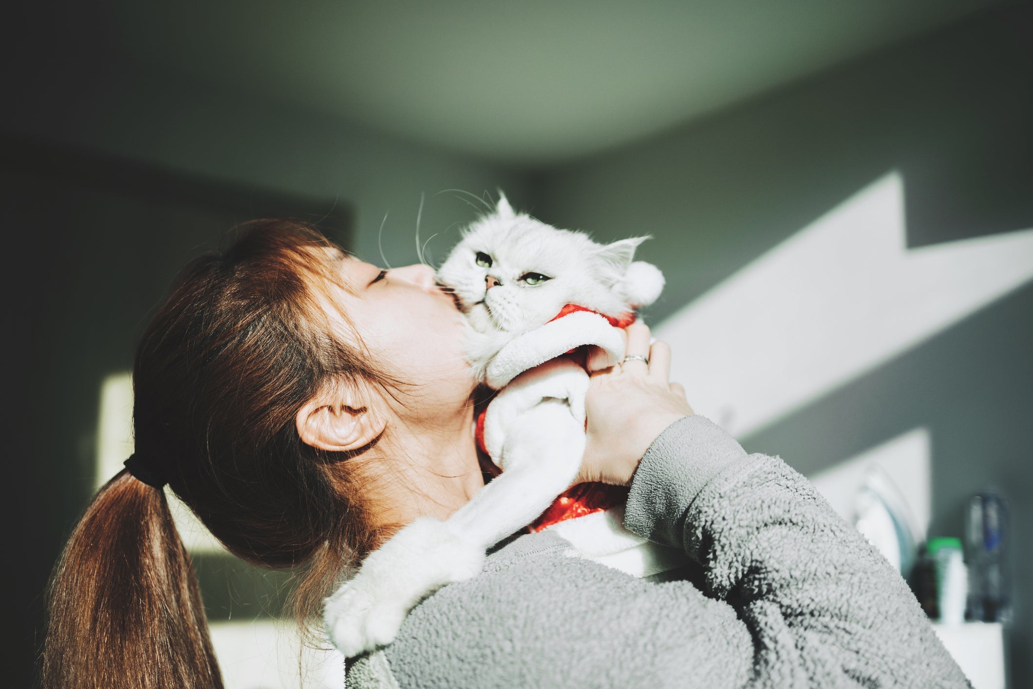 Pesquisa revelou que os gatos se comportam de maneira similar aos tutores 
