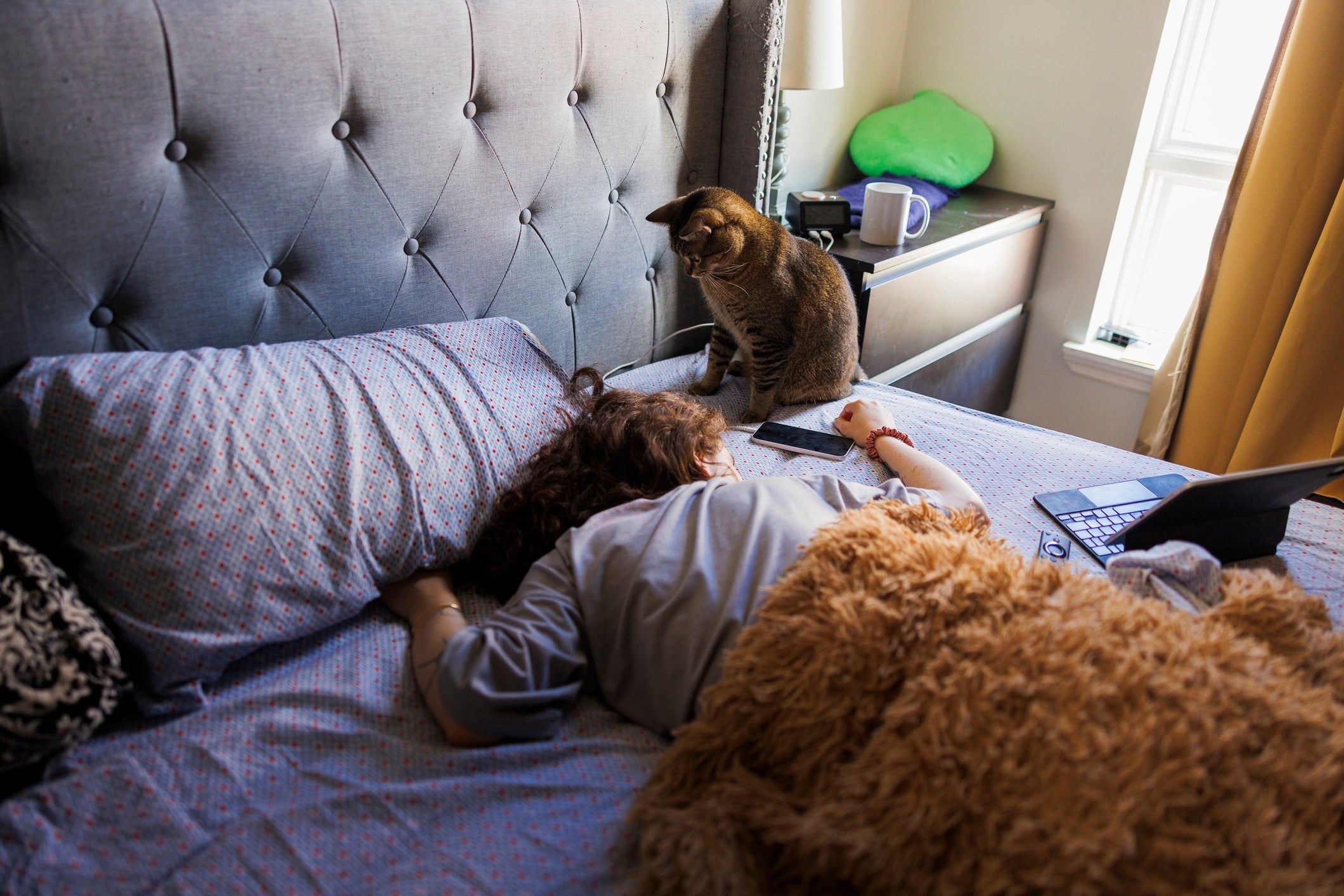 O gato costuma acordar o tutor cedo para pedir comida ou quando quer atenção