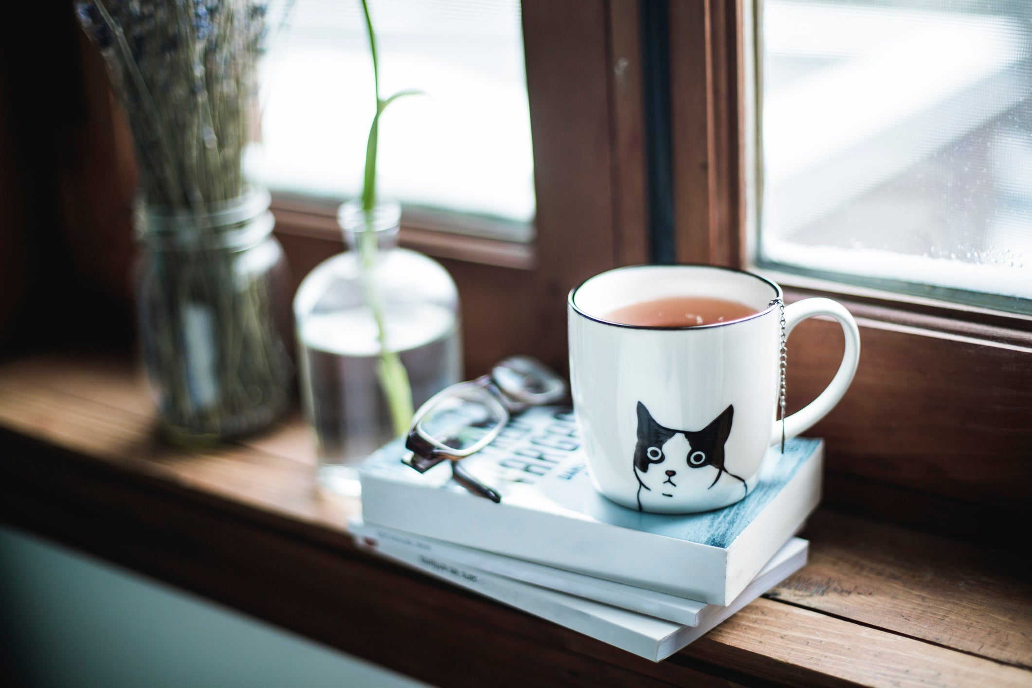 A caneca de gato é ótima para quem ama café