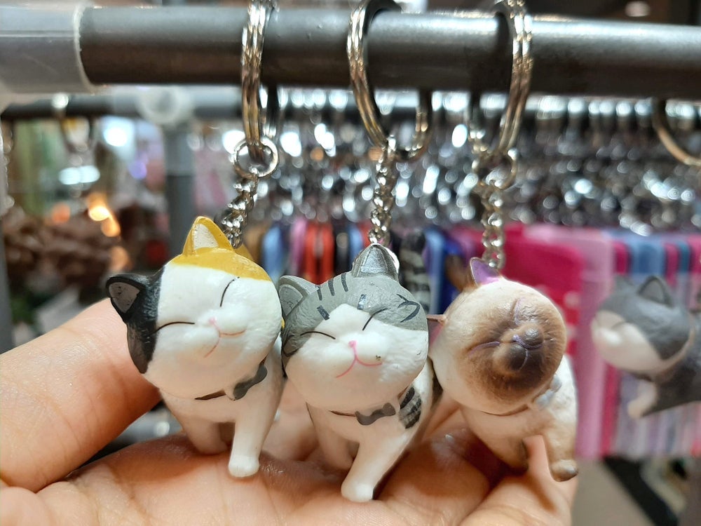 O chaveiro é um presente para quem gosta de gato pequeno, mas simbólico