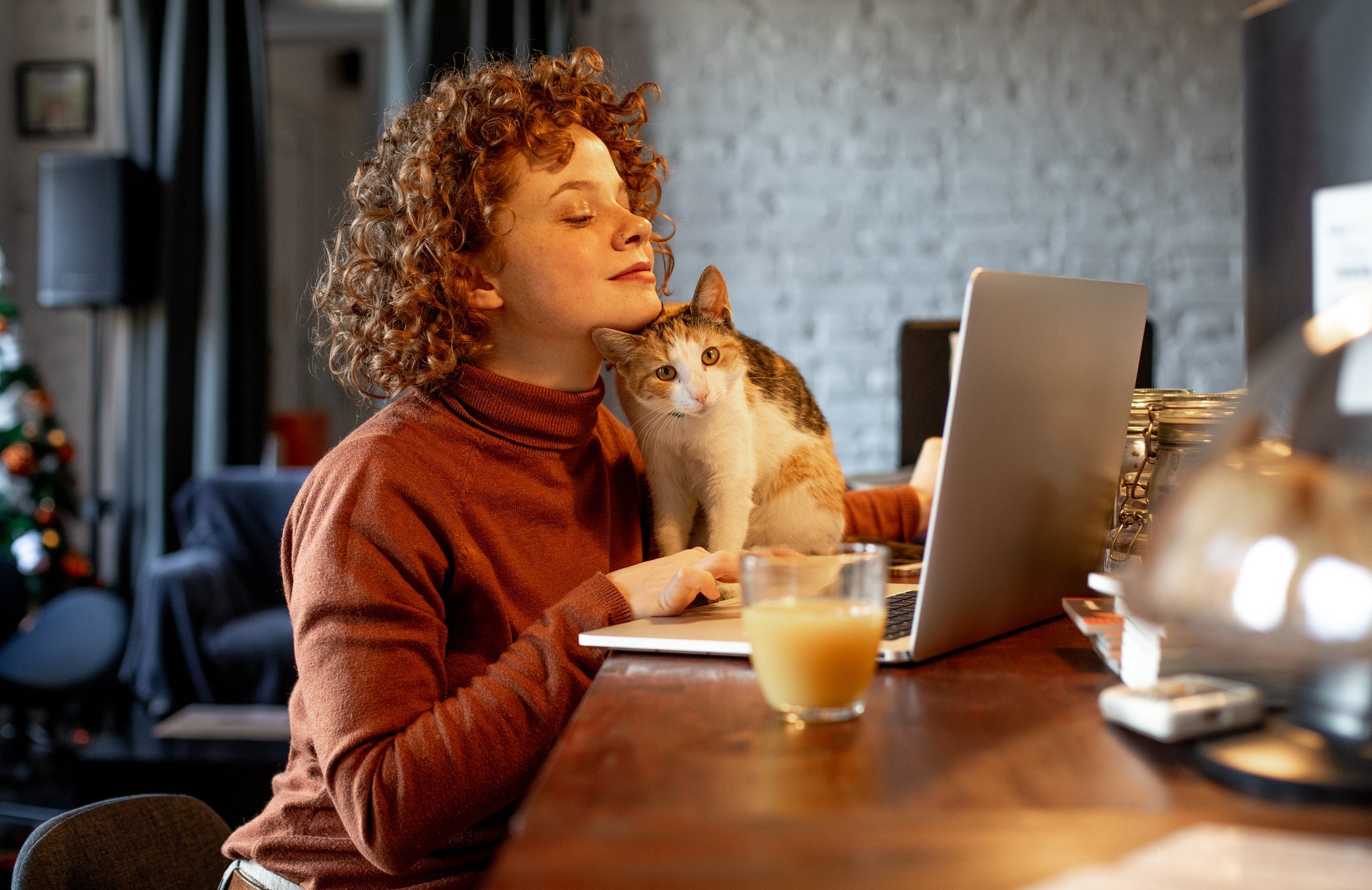 A convivência com gatos ensina respeitar o espaço do outro