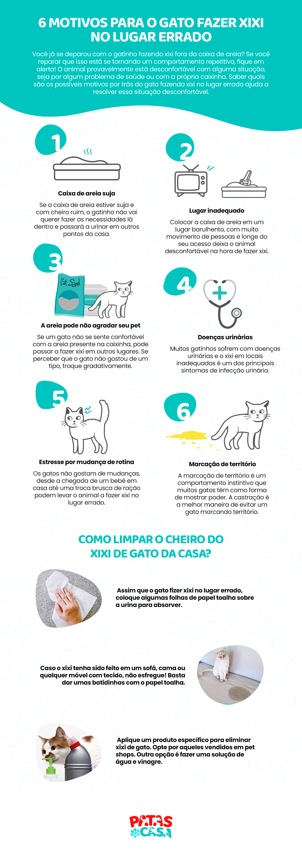 O gato fazendo xixi no lugar errado pode ser reflexo de marcação de território, mudanças ou até doenças