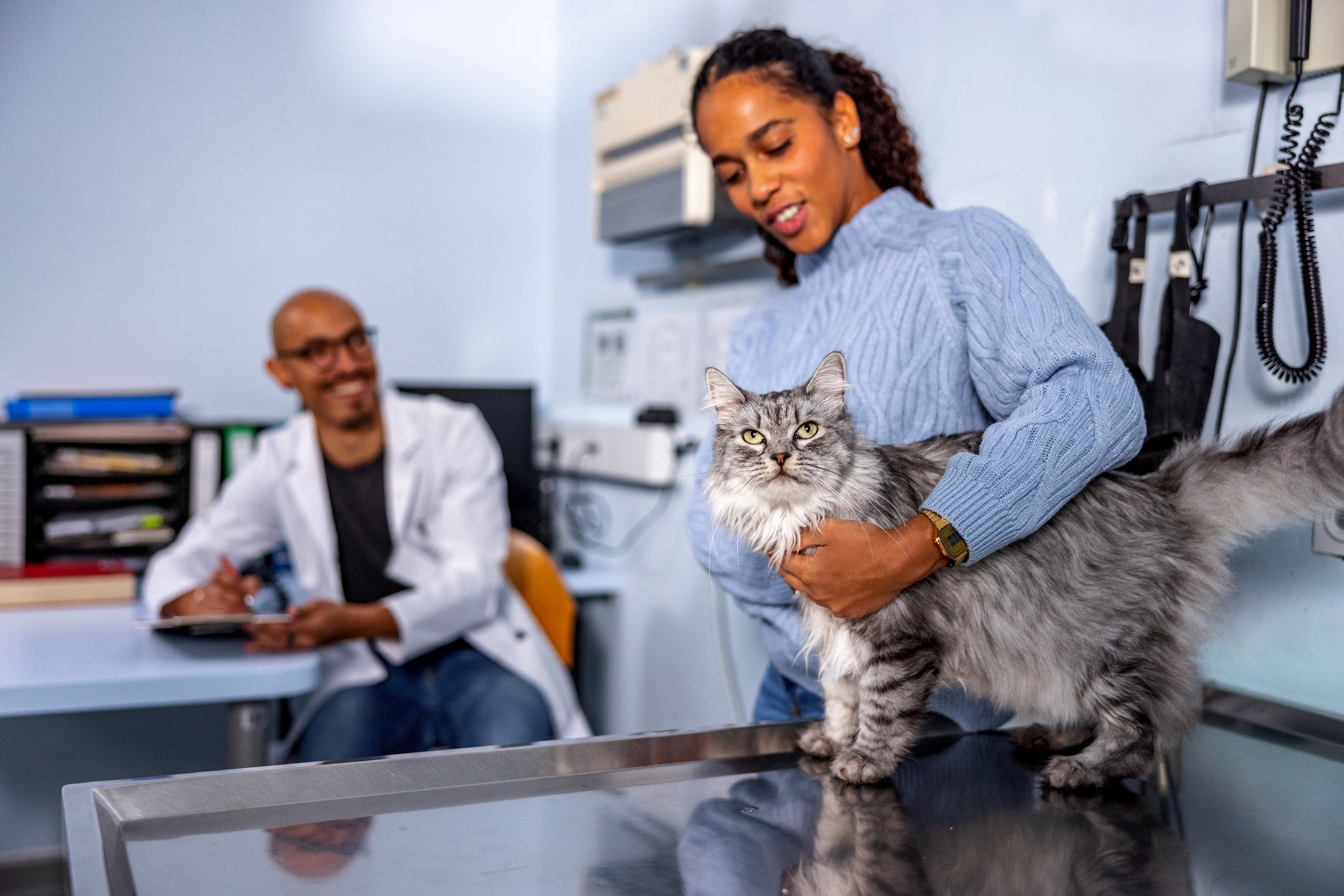Leve sempre seu bichano ao médico veterinário com frequência, principalmente em caso de sintomas de doenças de gatos idosos