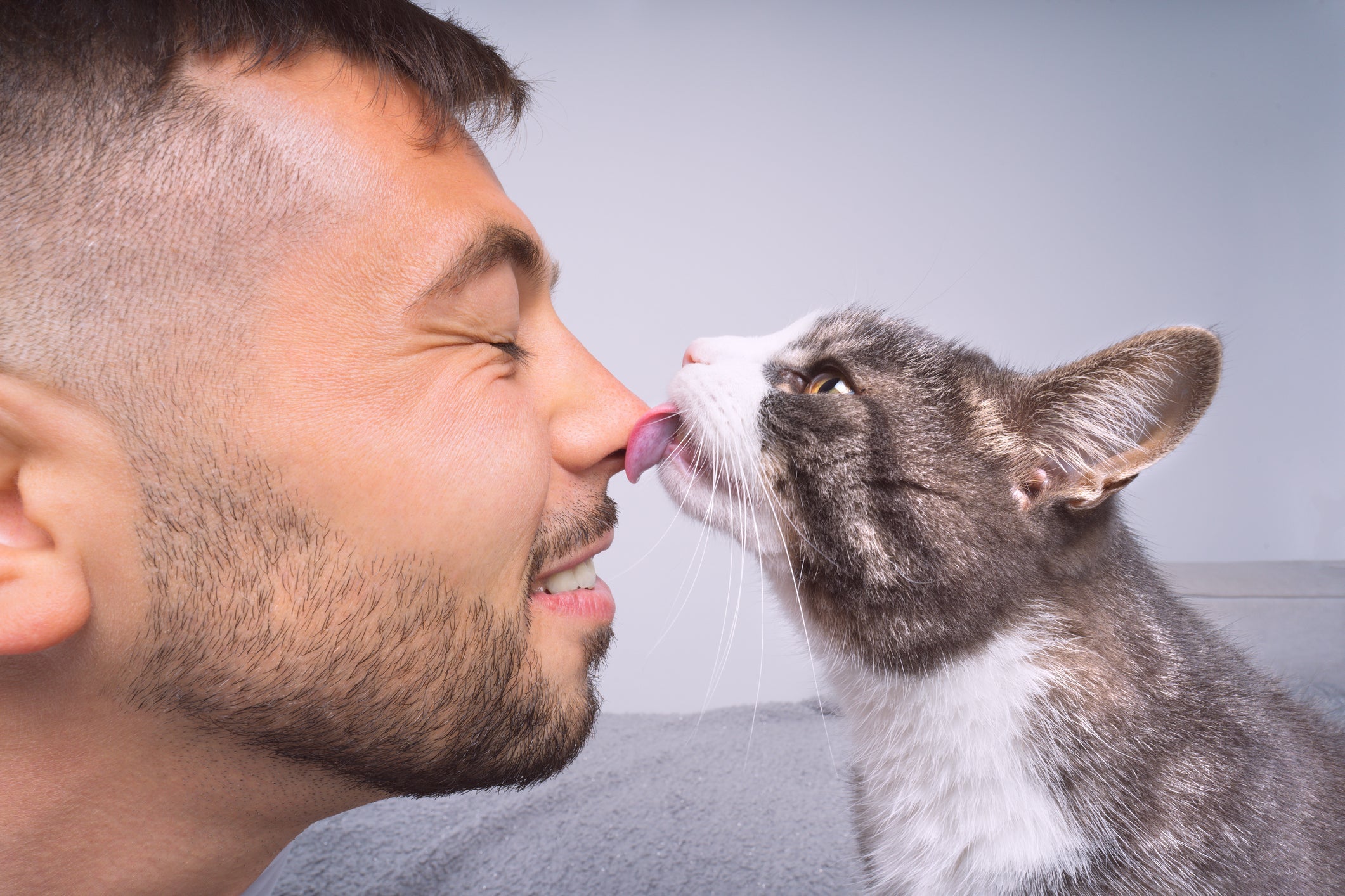 Geralmente, o gato lambendo o dono é sinal de que ele quer mostrar todo o seu carinho pelo humano!