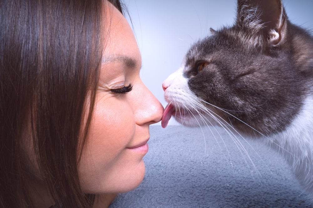 Quando o cachorro ou gato lambe o rosto do dono pode transmitir uma série de parasitas