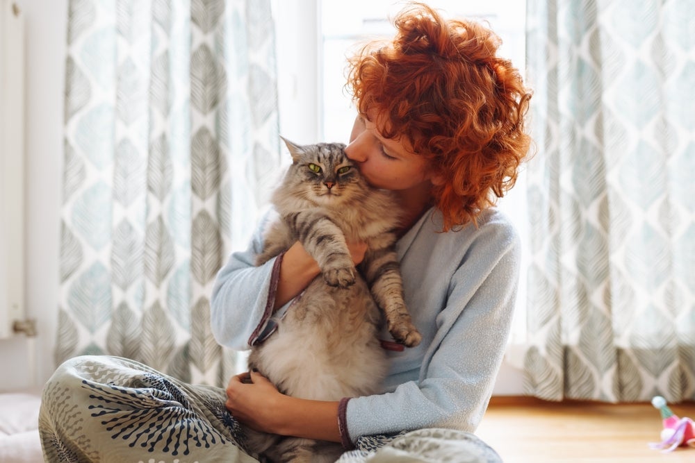 O Maine Coon é do tipo que acompanha o tutor em qualquer atividade