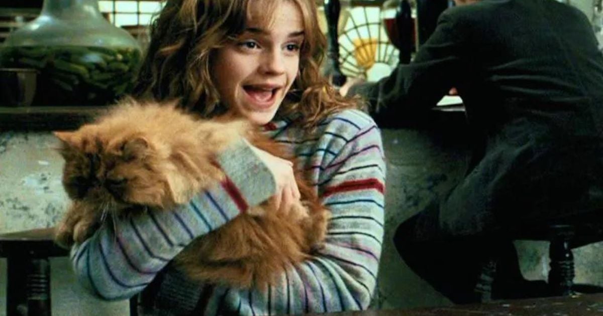 Bichento é um gato Persa que acompanha Hermione em Harry Potter