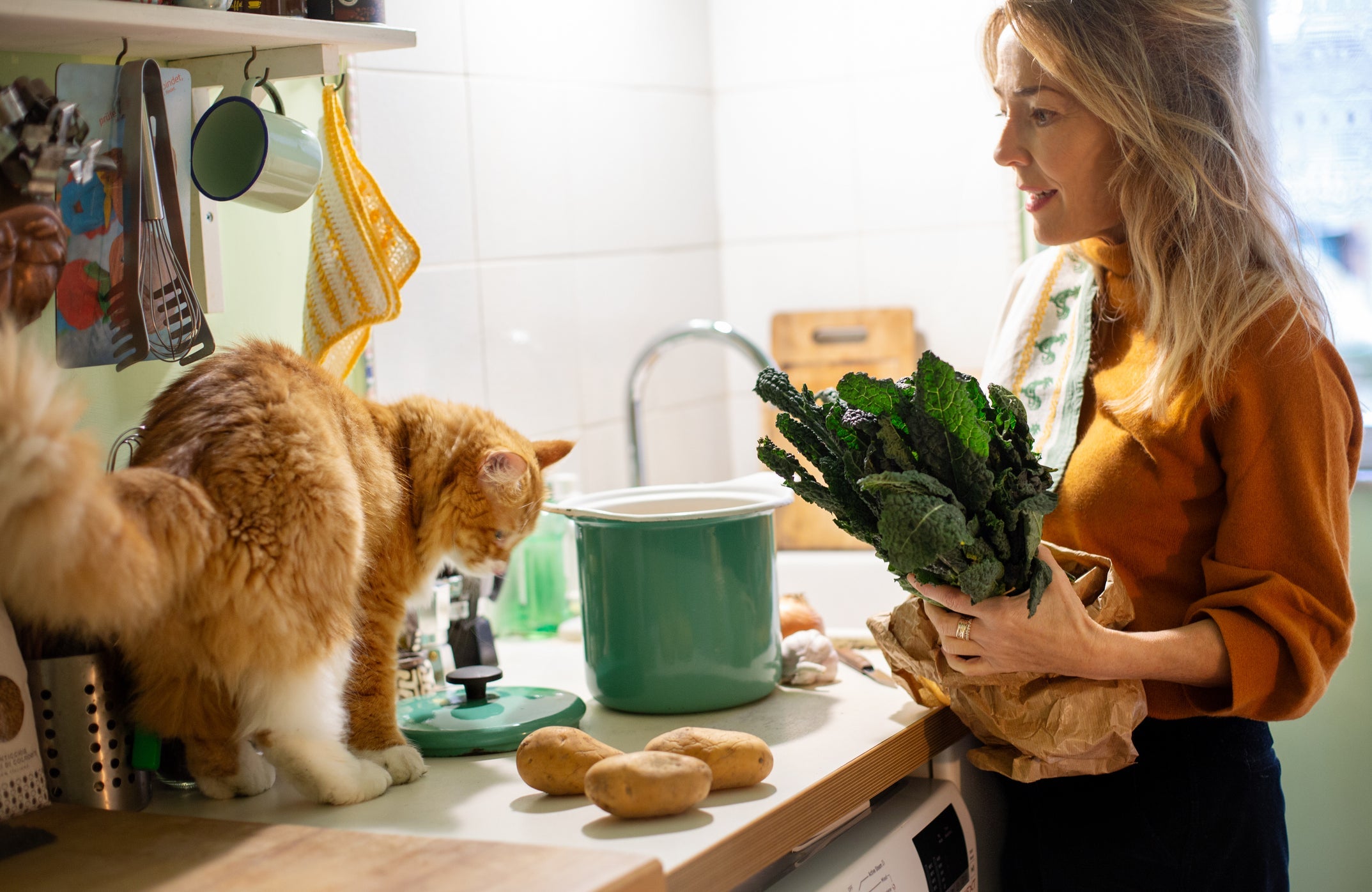 O gato pode comer batata, mas ela deve estar cozida e não pode ser temperada