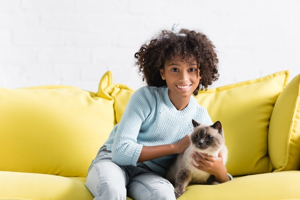 O gato Siamês é perfeito para quem tem crianças em casa