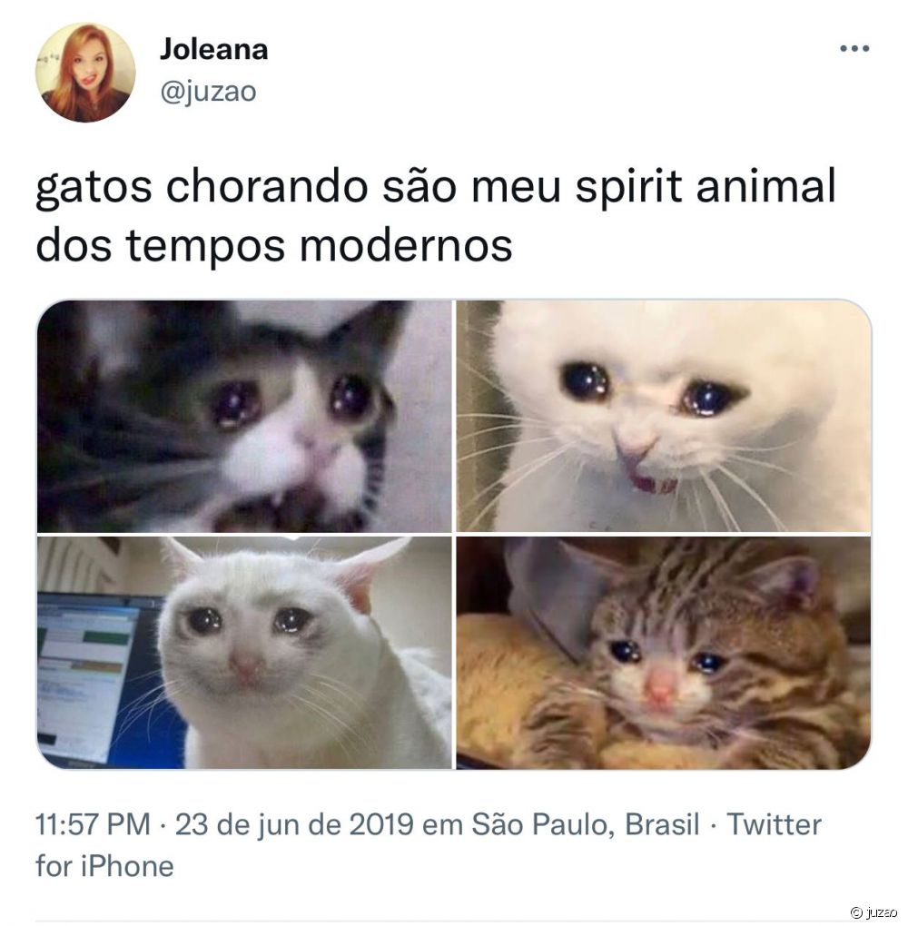 Gato triste: memes na internet geralmente mostram um gatinho chorando