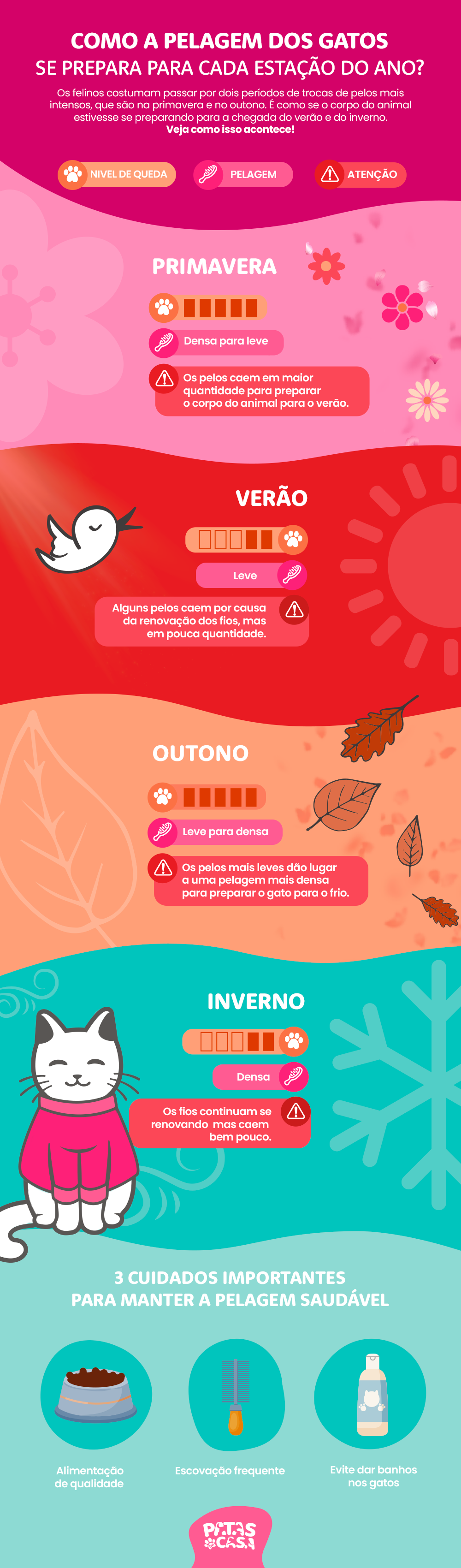 Bloco informativo mostrando que gato troca de pelo conforme as estações do ano