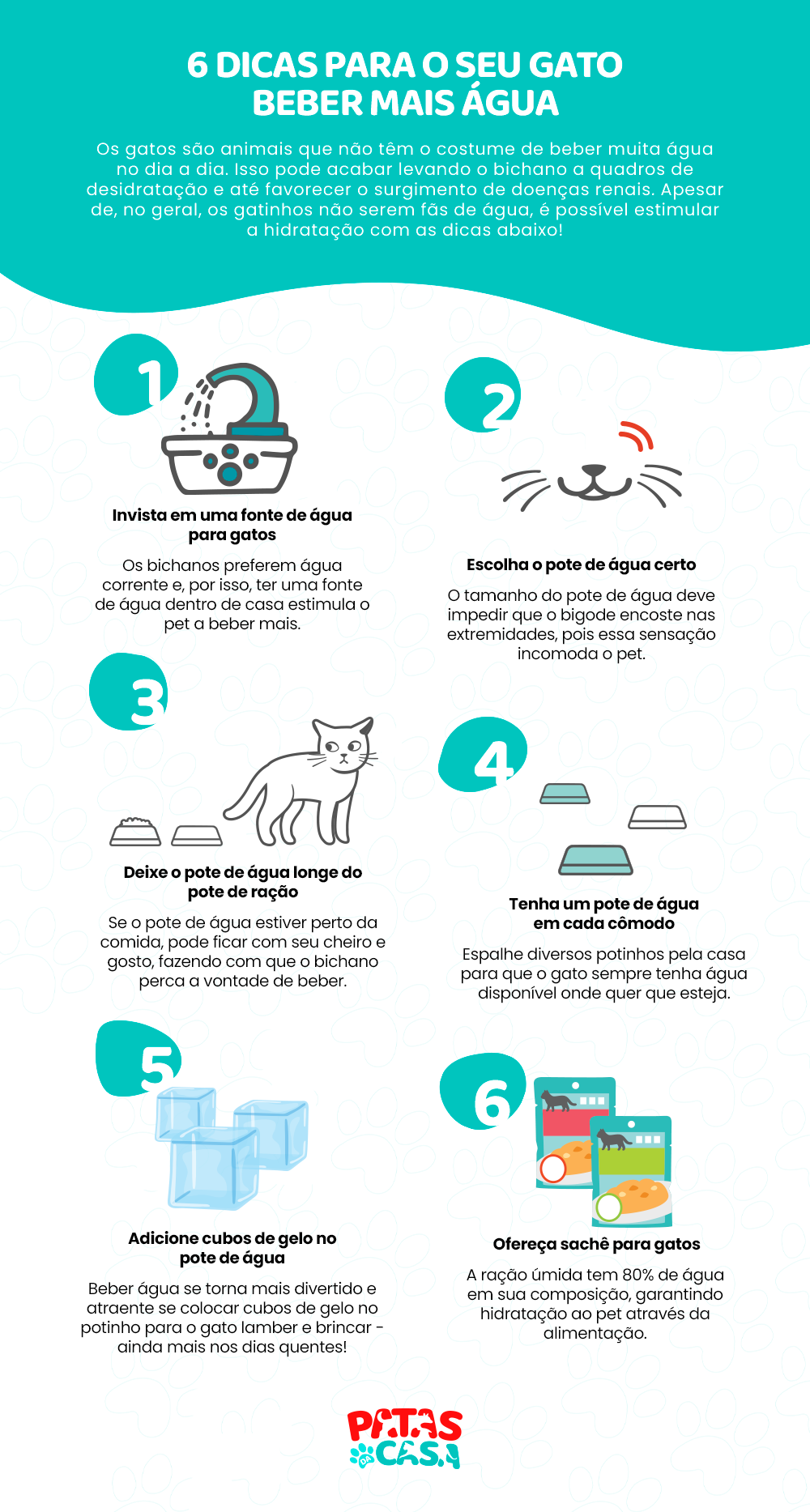 Investir em fonte para gato beber água e oferecer ração úmida são cuidados que mantêm seu pet hidratado