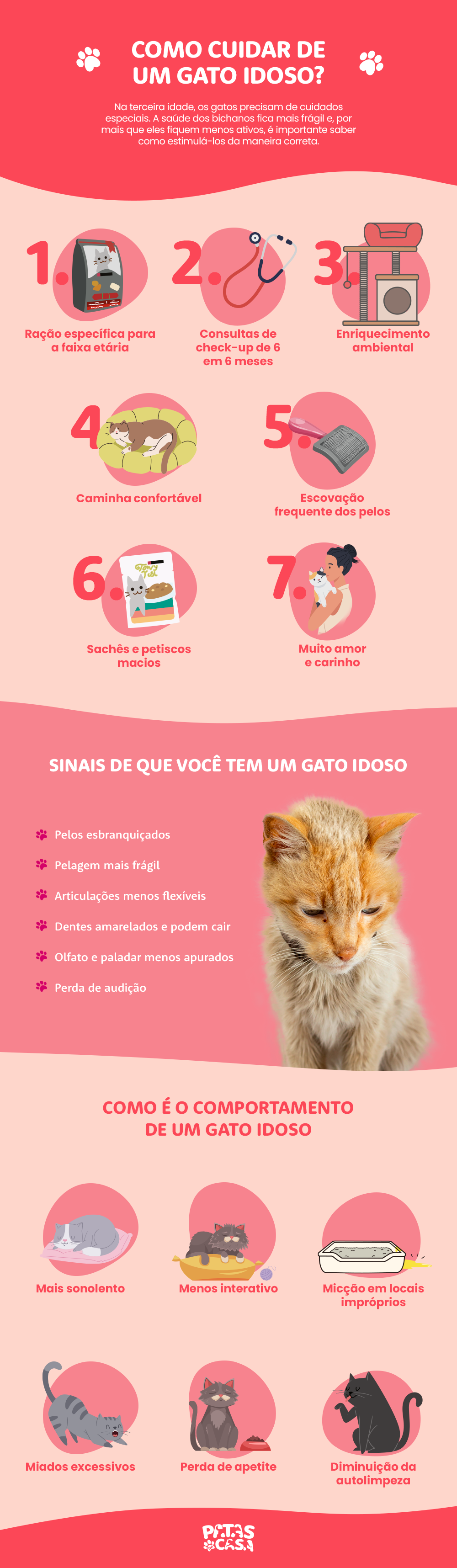 Bloco informativo mostrando como cuidar de gato idoso