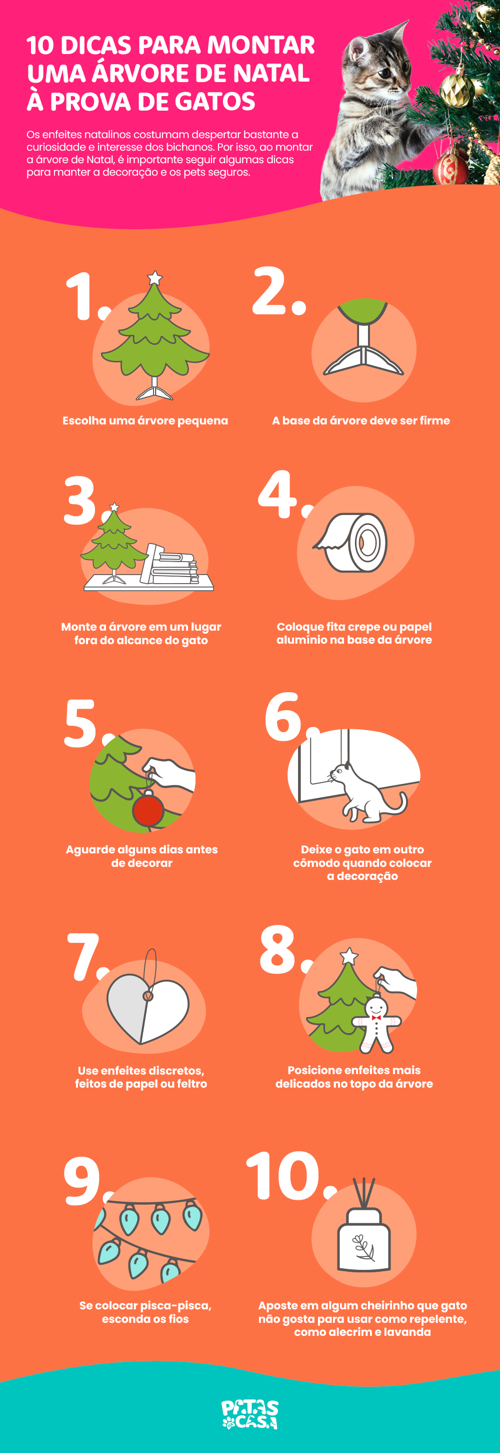 Bloco informativo mostrando dicas para manter em segurança os gatos e árvores de Natal